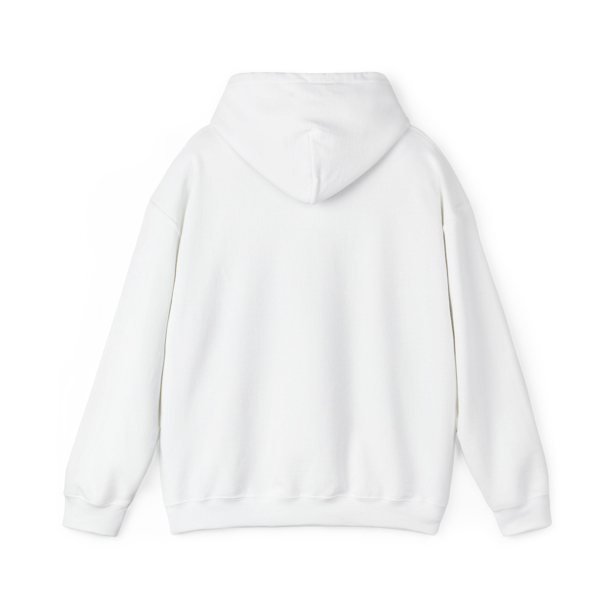 Emotional Roller Coaster Heavy Blend™ Hooded Sweatshirt
