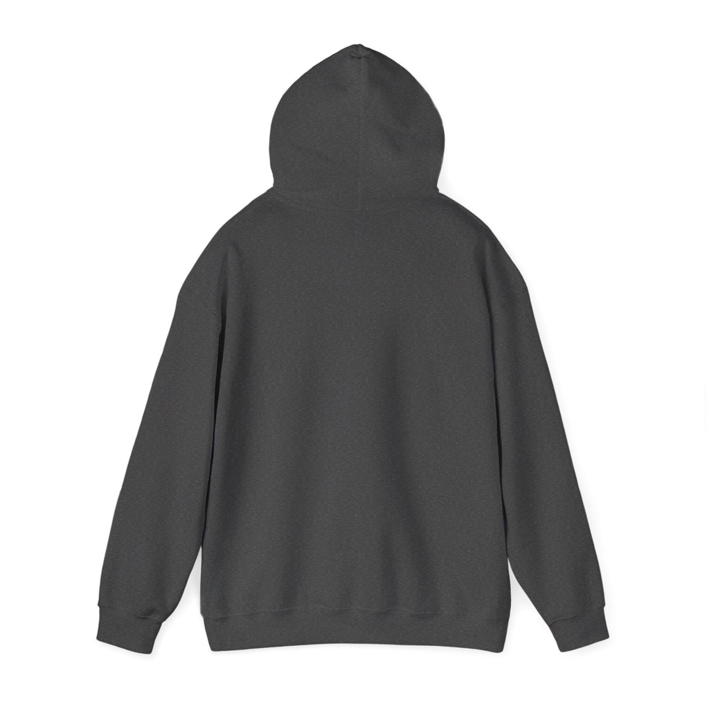 Choosing Joy Hoodie – Even on Weird Days | Positive Mental Health Hoodie for Teens | Cozy Inspirational Sweatshirt | Gildan Heavy Blend