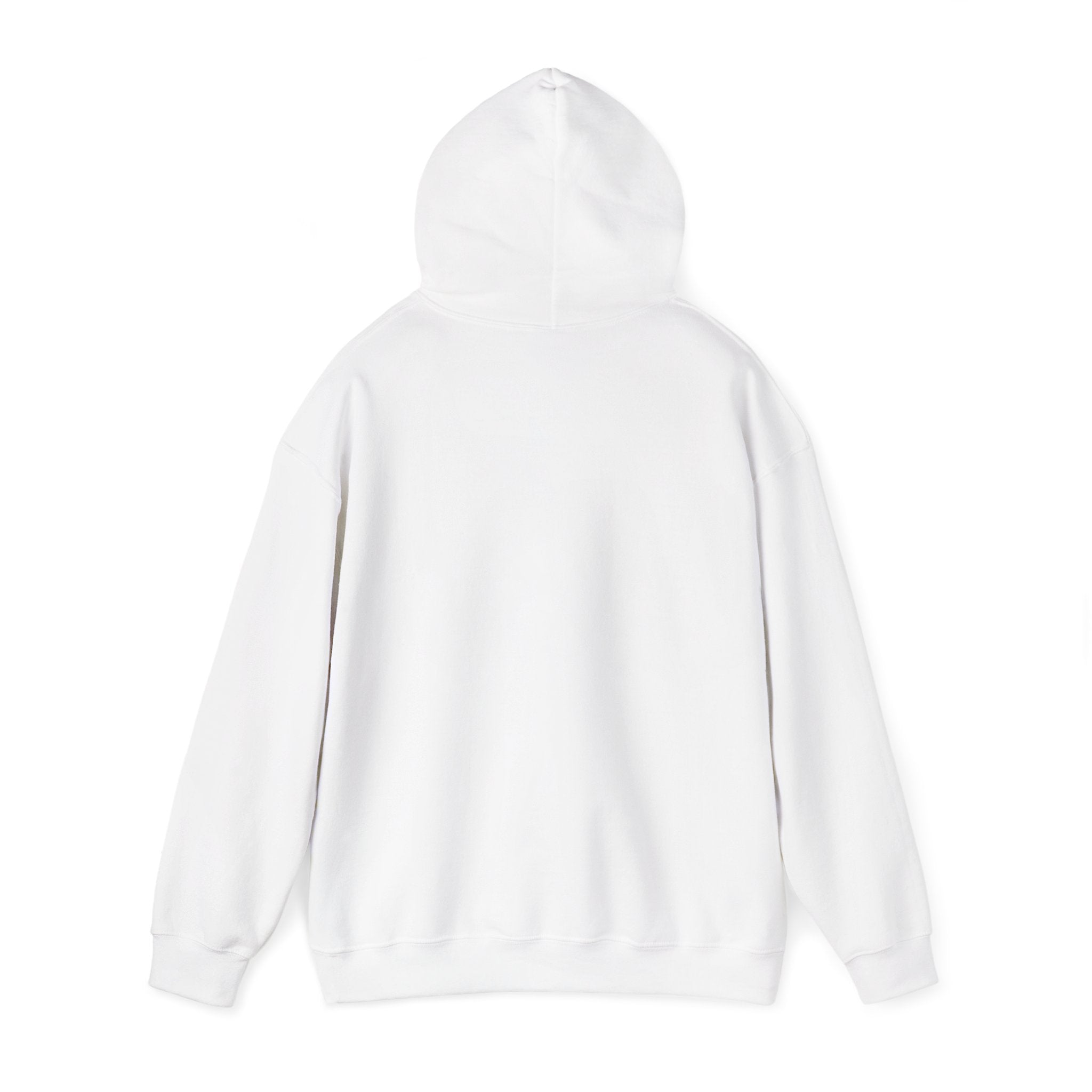 Emotional Roller Coaster Heavy Blend™ Hooded Sweatshirt